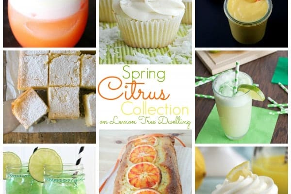 Spring Citrus Collection Collage
