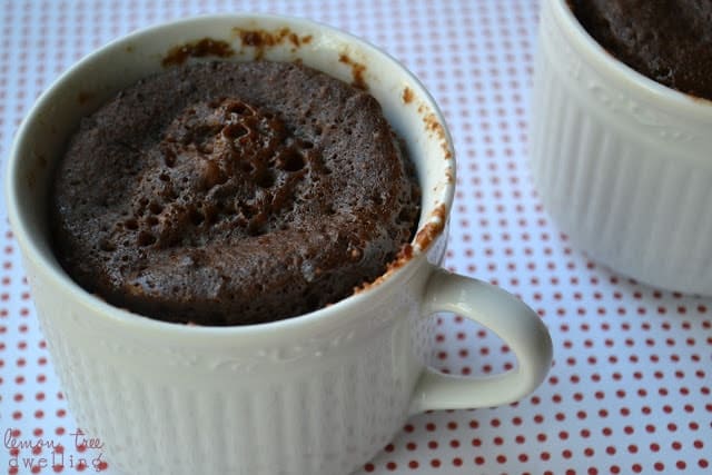5-Minute Chocolate Mocha Mug Cake | Lemon Tree Dwelling