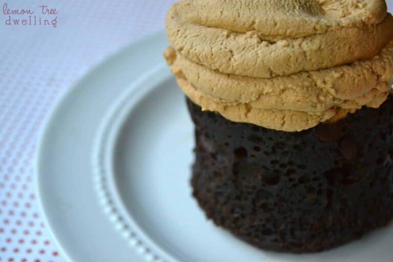 5 minute chocolate mocha mug cake