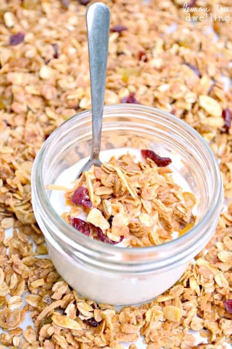 Harvest Granola | Lemon Tree Dwelling