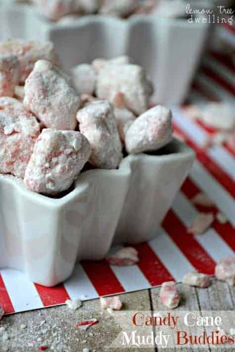 Candy Cane Muddy Buddies are a sweet and crunchy mint treat sure to please everyone over the holidays! Chocolate and Mint - It's pure peppermint perfection!