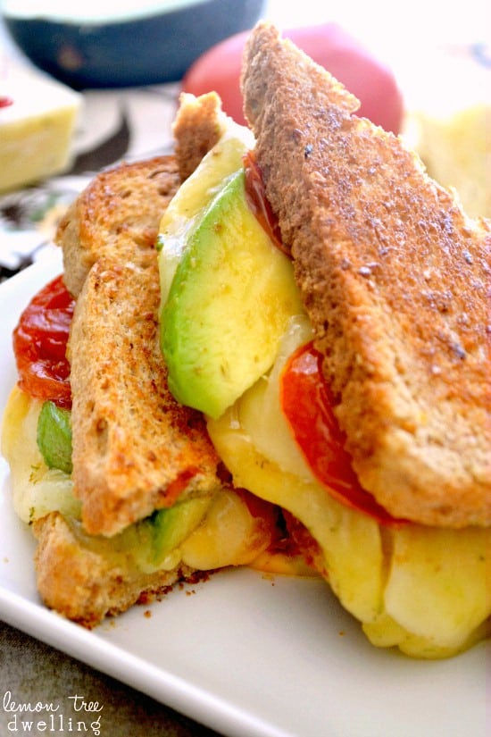 Loaded Grilled 4Cheese Sandwich Lemon Tree Dwelling