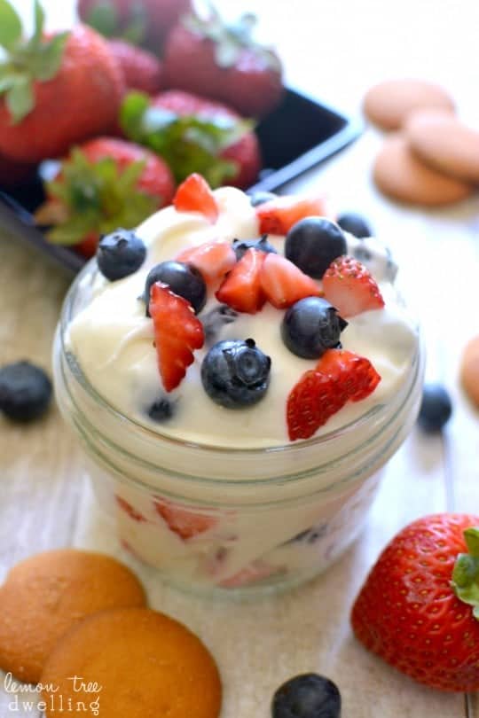 Creamy Coconut Fruit Dip Lemon Tree Dwelling