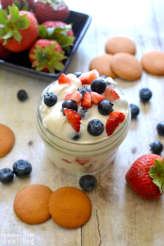 Creamy Coconut Fruit Dip Lemon Tree Dwelling