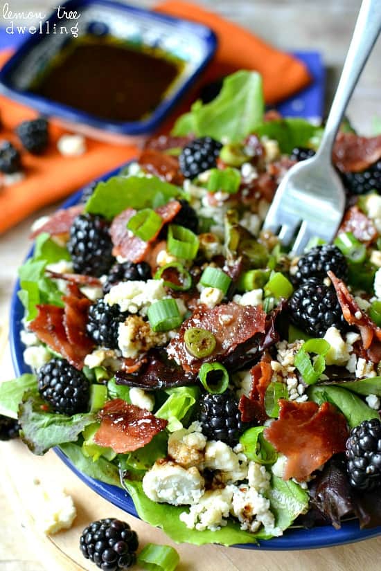 Blackberry, Bacon Blue Cheese Salad Lemon Tree Dwelling Blackberry, Bacon Blue Cheese Salad Lemon Tree Dwelling