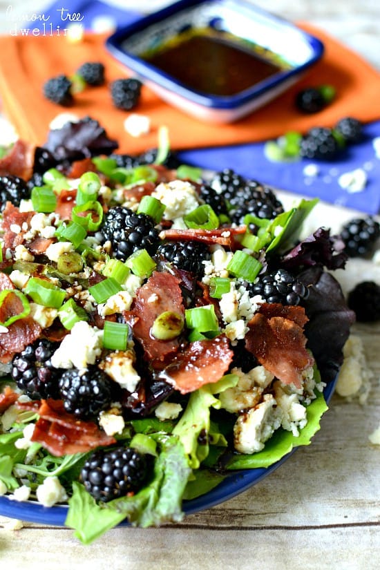 Blackberry, Bacon & Blue Cheese Salad Lemon Tree Dwelling