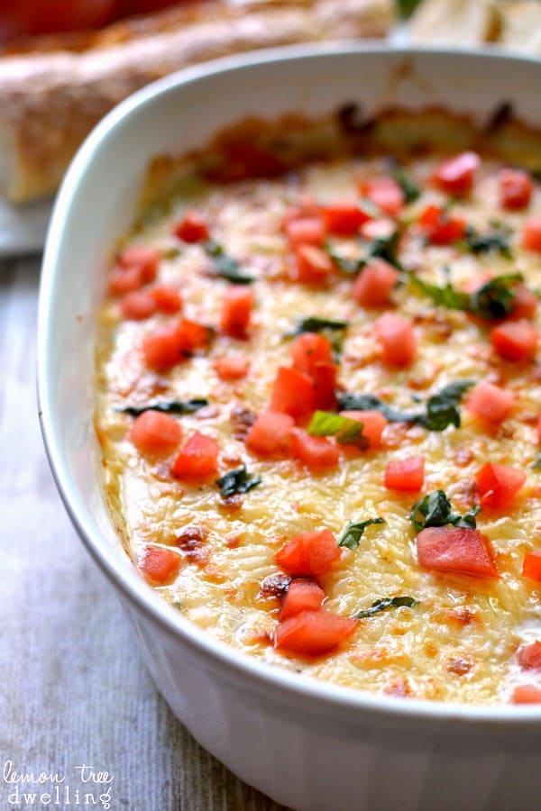 Cheesy Chicken Alfredo Dip Lemon Tree Dwelling