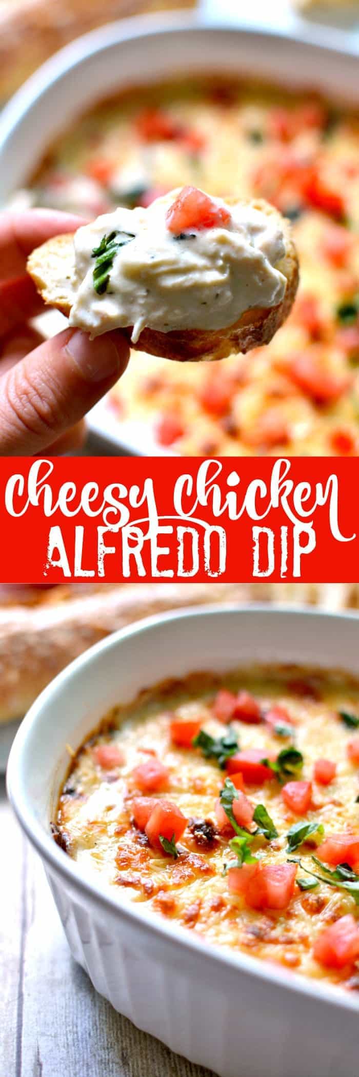 Cheesy Chicken Alfredo Dip Lemon Tree Dwelling