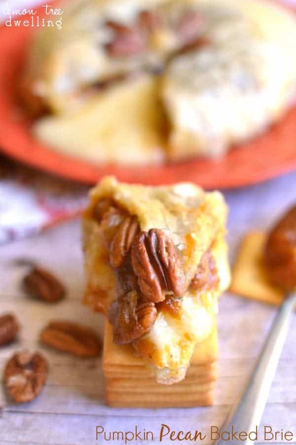 Pumpkin Pecan Baked Brie Lemon Tree Dwelling