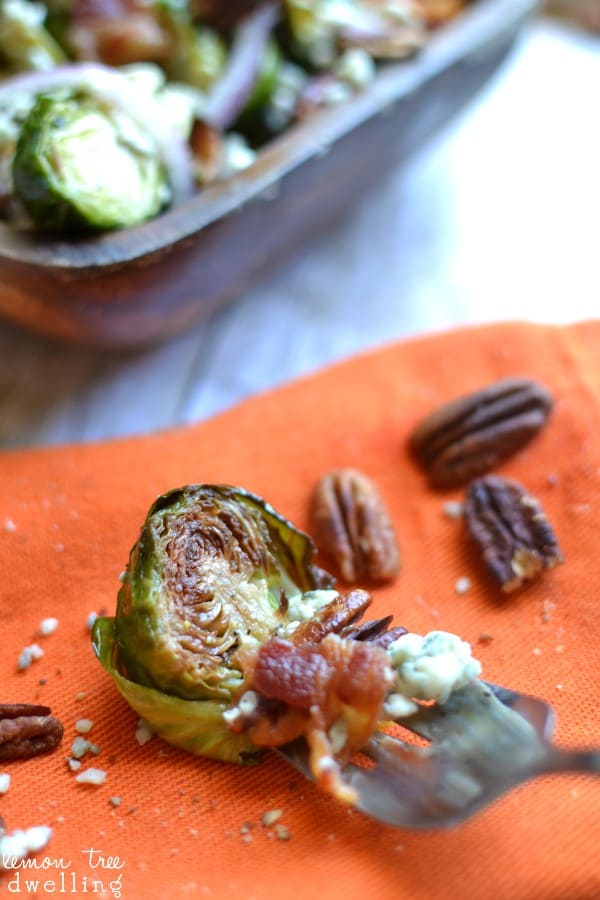 Harvest Brussels Sprout Salad Lemon Tree Dwelling