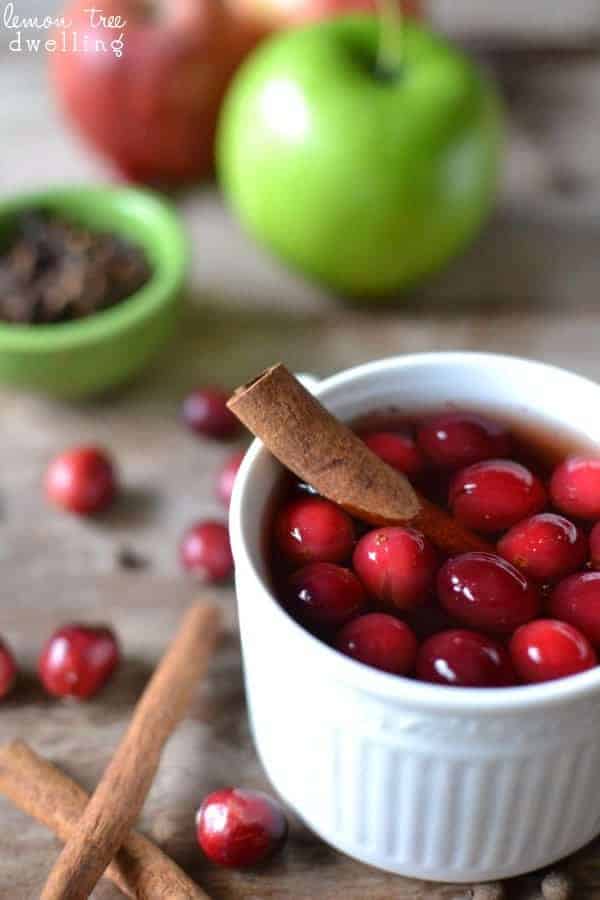 Spiced Cranberry Apple Cider, is a perfect blend of all the tastes of winter. This quick and easy hot drink is made in a slow cooker and makes for a wonderful holiday drink.