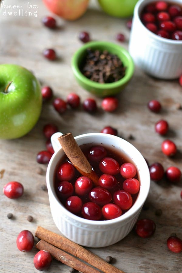 Slow Cooker Spiced Cranberry Apple Cider. Pin it now and make it later!