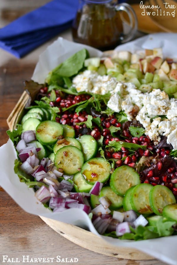 Fall Harvest Salad 5c