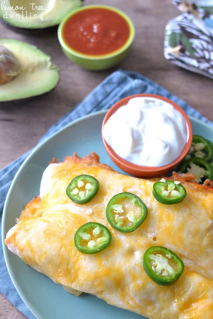 Creamy Chicken Enchiladas  Lemon Tree Dwelling