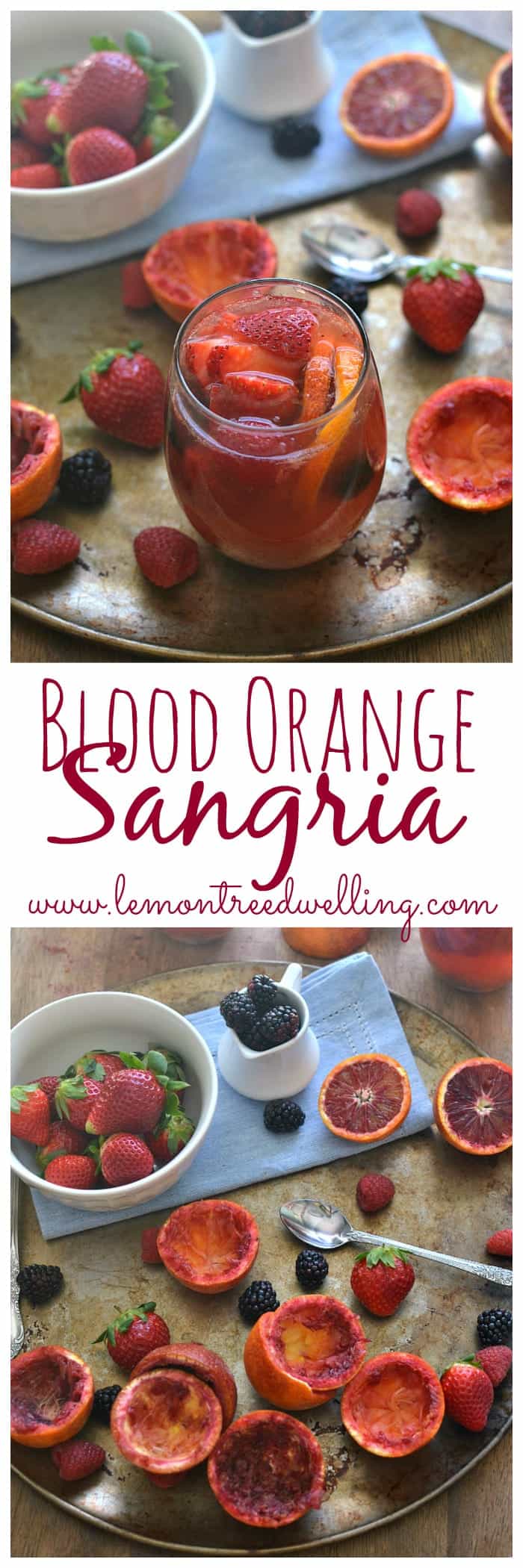 Blood Orange Sangria | Lemon Tree Dwelling