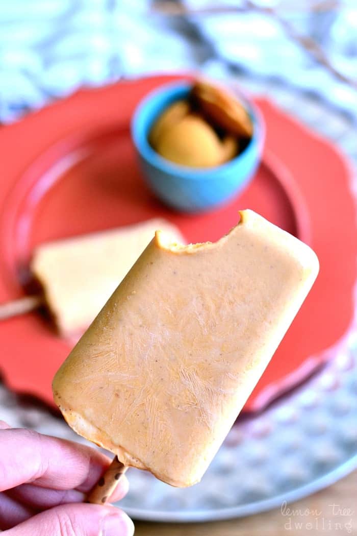 Skinny Pumpkin Pie Popsicles | Sweet Pumpkin Recipes | Homemade Recipes