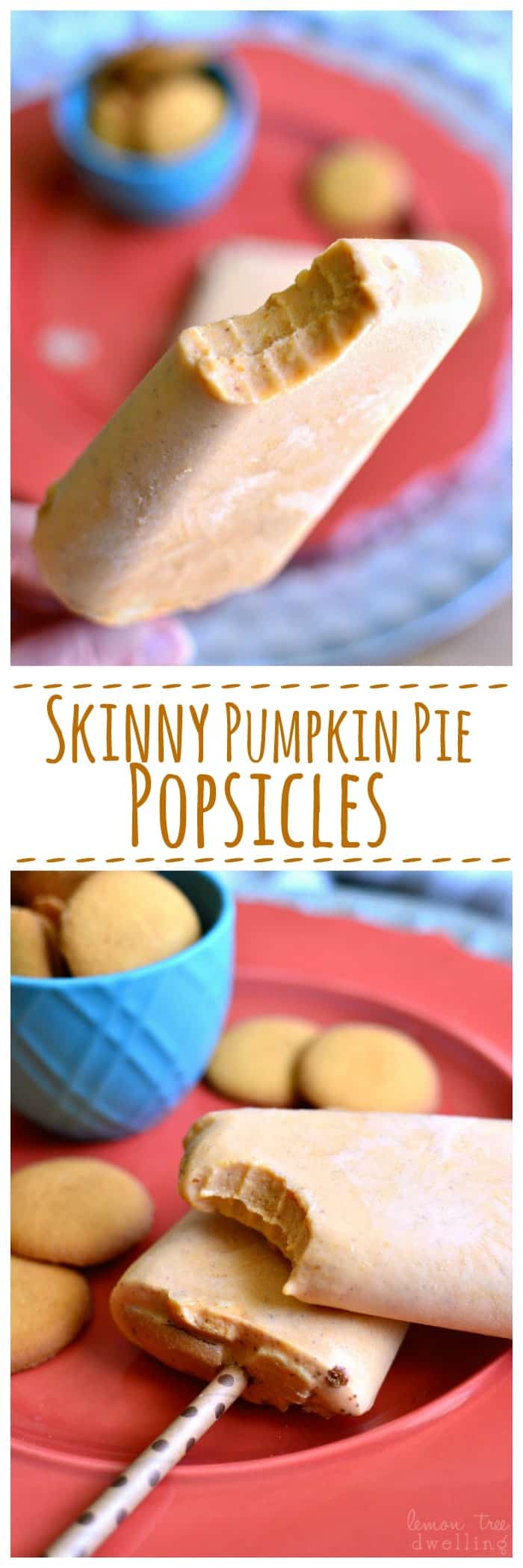 Skinny Pumpkin Pie Popsicles | Lemon Tree Dwelling