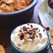 Maple Pecan Cranberry Dip combines all the best flavors of fall in a delicious dip that's perfect for the holidays! This easy dip recipe is so quick to make and sure to please everyone.