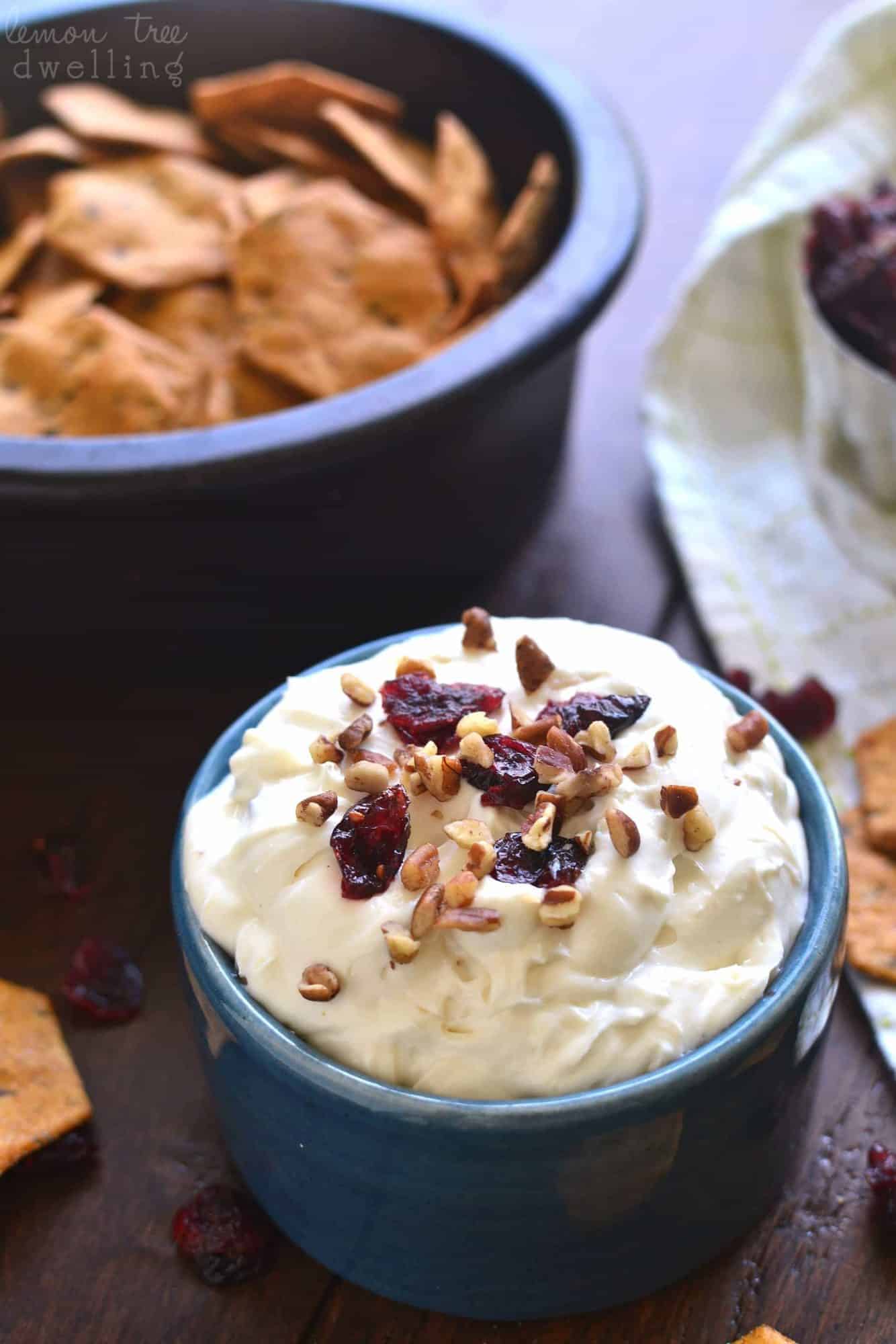 Maple Pecan Cranberry Dip combines all the best flavors of fall in a delicious dip that's perfect for the holidays! This easy dip recipe is so quick to make and sure to please everyone.