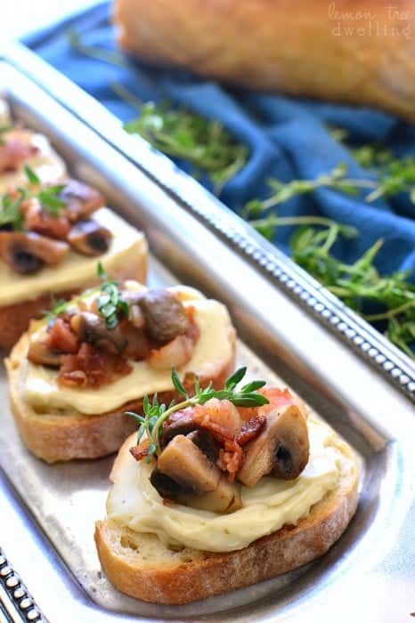 Mushroom Bacon Swiss Crostini – Lemon Tree Dwelling
