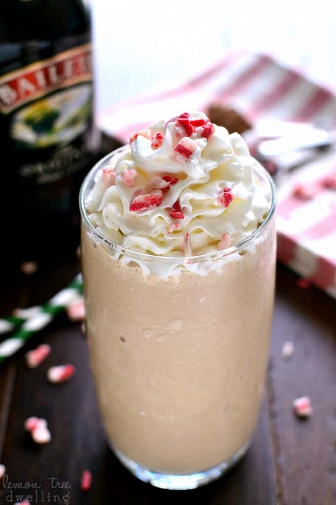 BAILEY’S CHOCOLATE MINT MILKSHAKE FOOD AND DRINK