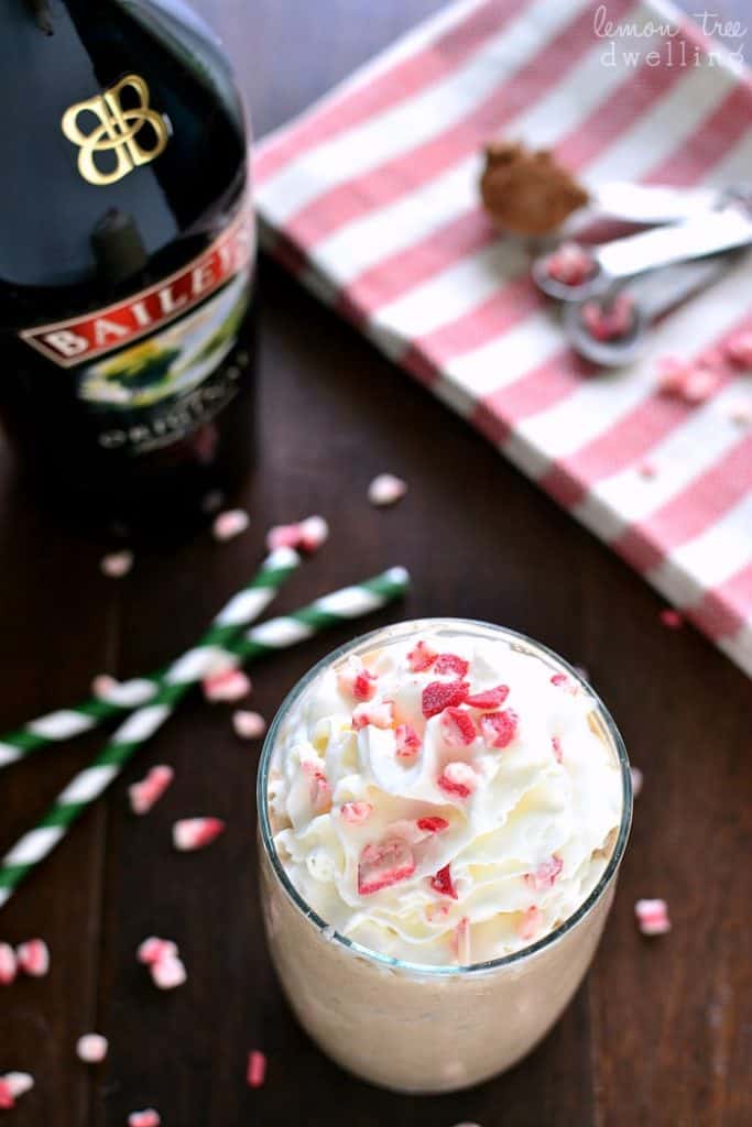 BAILEY’S CHOCOLATE MINT MILKSHAKE FOOD AND DRINK