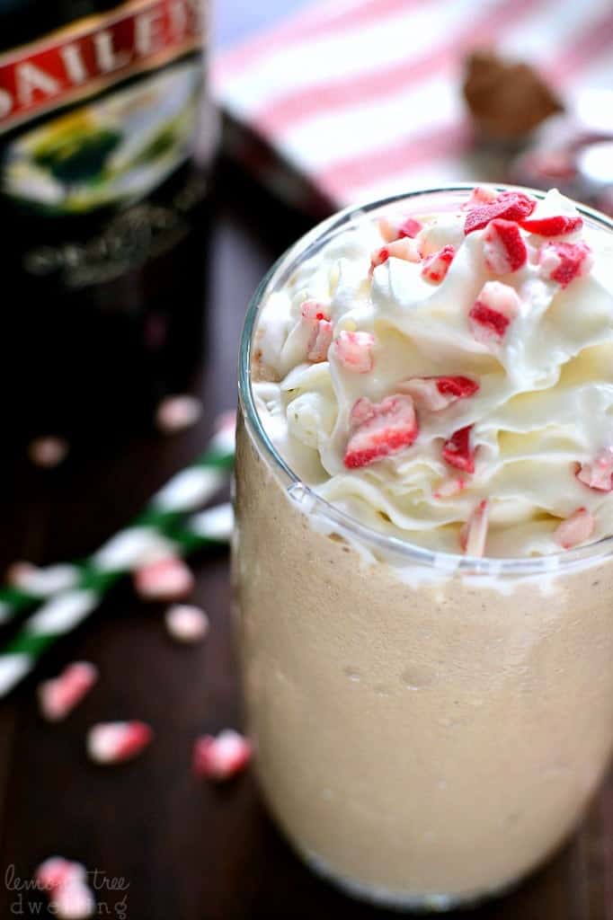 BAILEY’S CHOCOLATE MINT MILKSHAKE FOOD AND DRINK