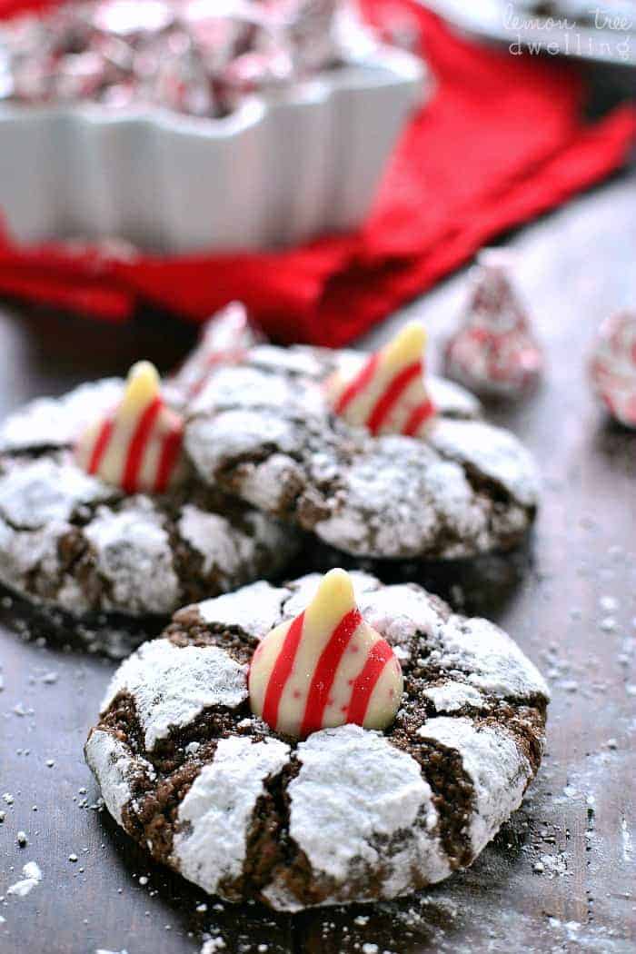 Chocolate Peppermint Blossom Cookies are loaded with rich chocolate and peppermint and topped with a Candy Cane-flavored chocolate. The perfect holiday cookies