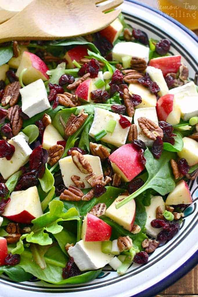 Apple Brie Salad Lemon Tree Dwelling