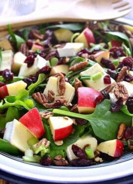 Apple Brie Salad combines the crispness of apples with the creaminess of Brie cheese in a delicious salad that's perfect anytime. This fresh and crisp salad will make an easy side dish or a meal all on its own.
