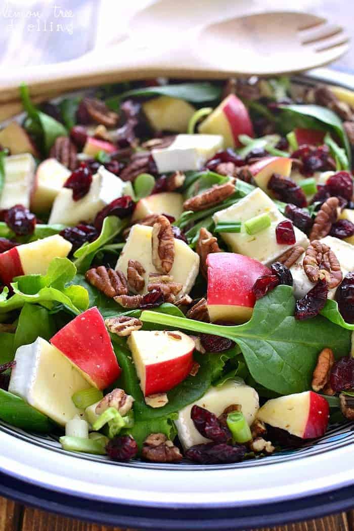 Close up of Apple Brie Salad