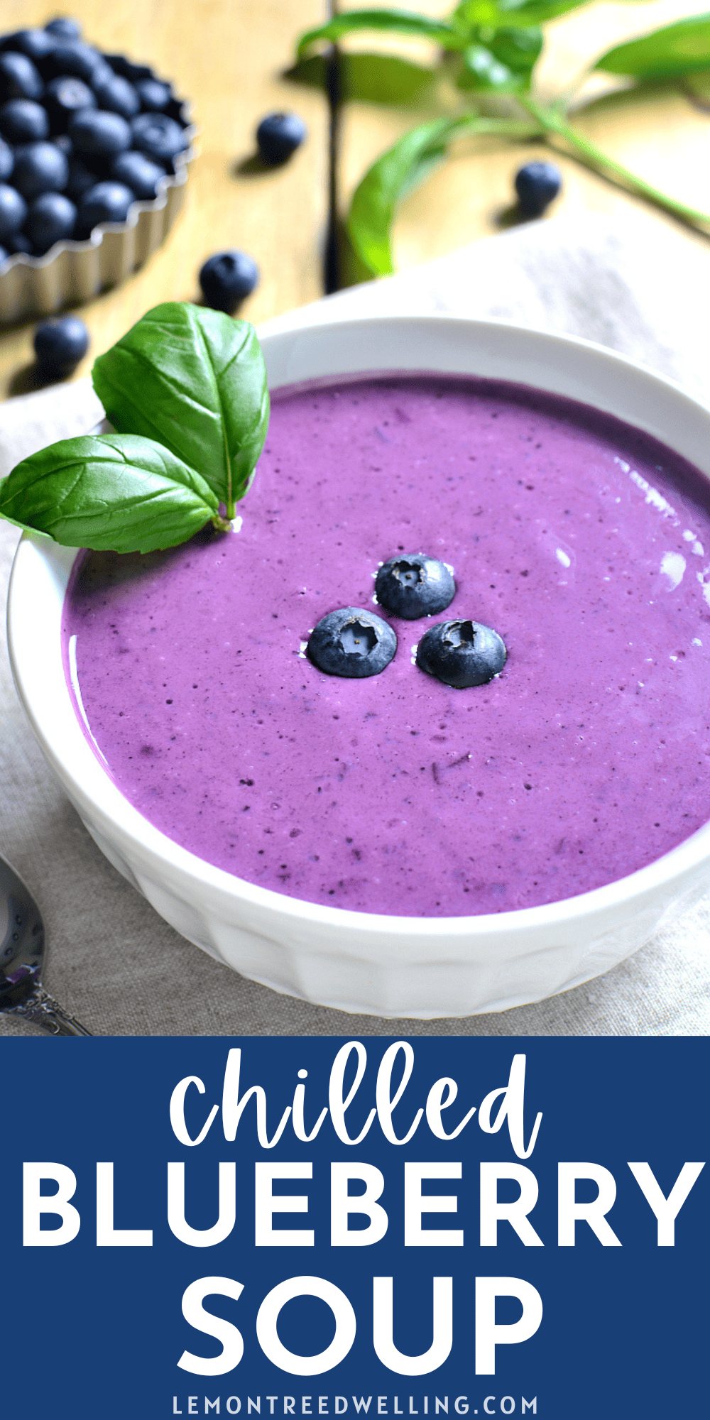 Blue Raspberry Soup Chilled Blueberry Soup – Lemon Tree Dwelling