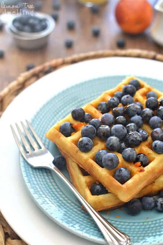 25 Back to School Breakfast Recipes Lemon Tree Dwelling