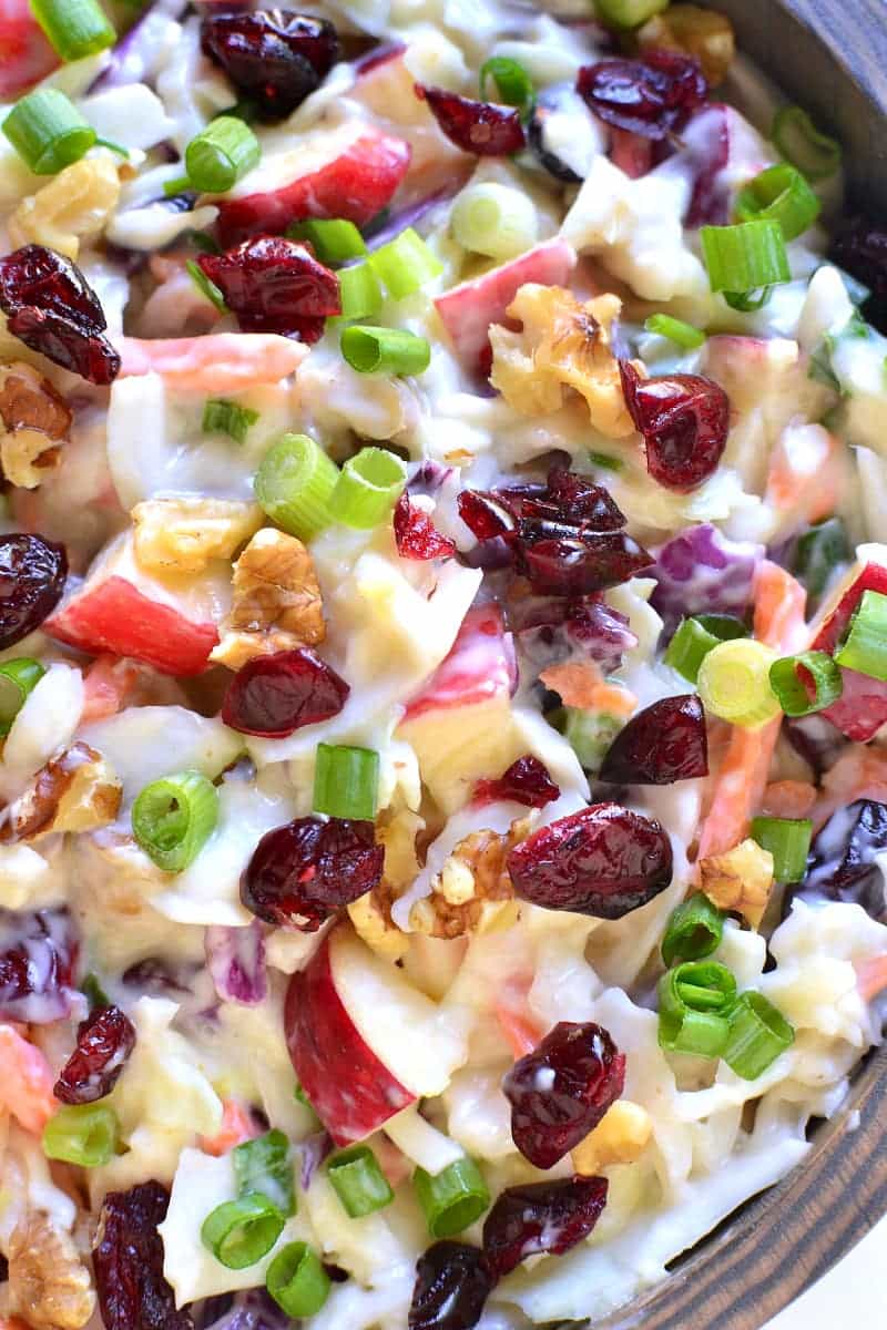 Apple Cranberry Coleslaw | Lemon Tree Dwelling