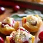 Chicken Cranberry Brie Tartlets are a quick appetizer that combine all the best flavors of the season in one delicious little bite. Perfect for all your holiday parties. These tartlets are sure to become a new favorite!