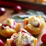 Chicken Cranberry Brie Tartlets are a quick appetizer that combine all the best flavors of the season in one delicious little bite. Perfect for all your holiday parties. These tartlets are sure to become a new favorite!
