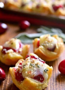 Chicken Cranberry Brie Tartlets are a quick appetizer that combine all the best flavors of the season in one delicious little bite. Perfect for all your holiday parties. These tartlets are sure to become a new favorite!