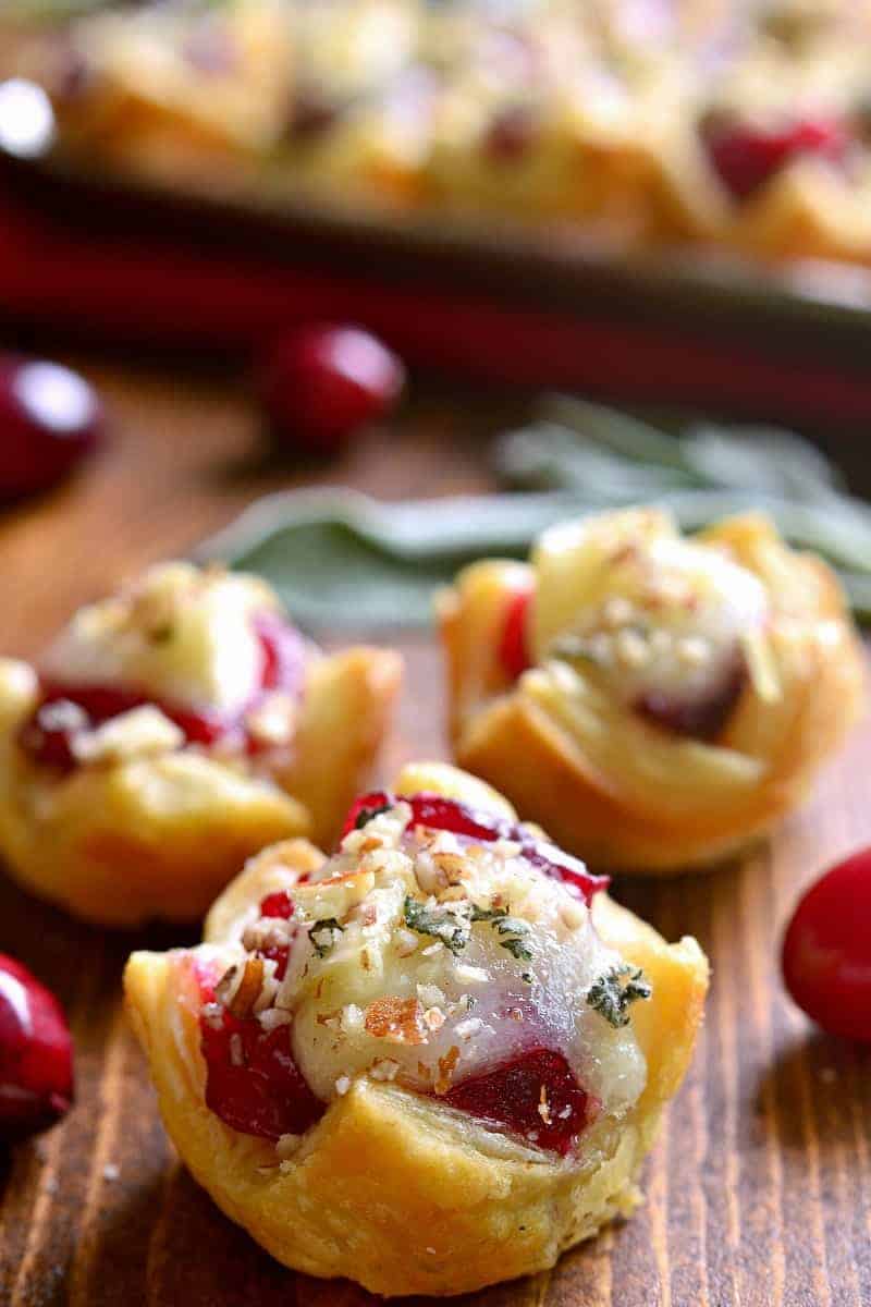 Chicken Cranberry Brie Tartlets are a quick appetizer that combine all the best flavors of the season in one delicious little bite. Perfect for all your holiday parties. These tartlets are sure to become a new favorite!