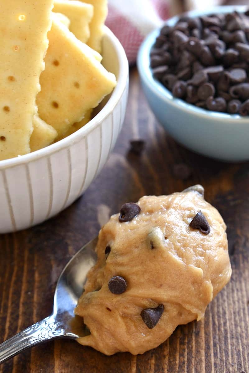 Creamy Peanut Butter Chocolate Chip Dip Lemon Tree Dwelling