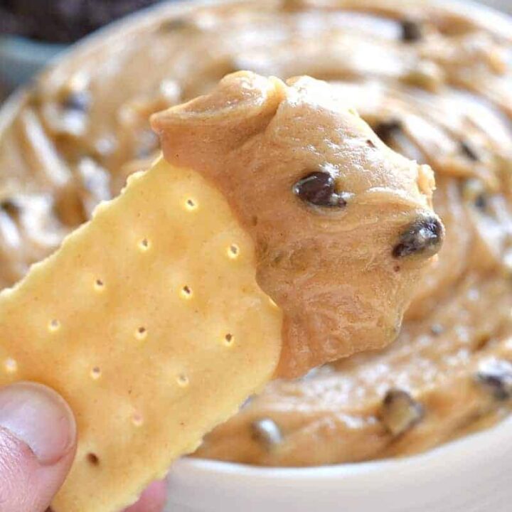 Creamy Peanut Butter Chocolate Chip Dip