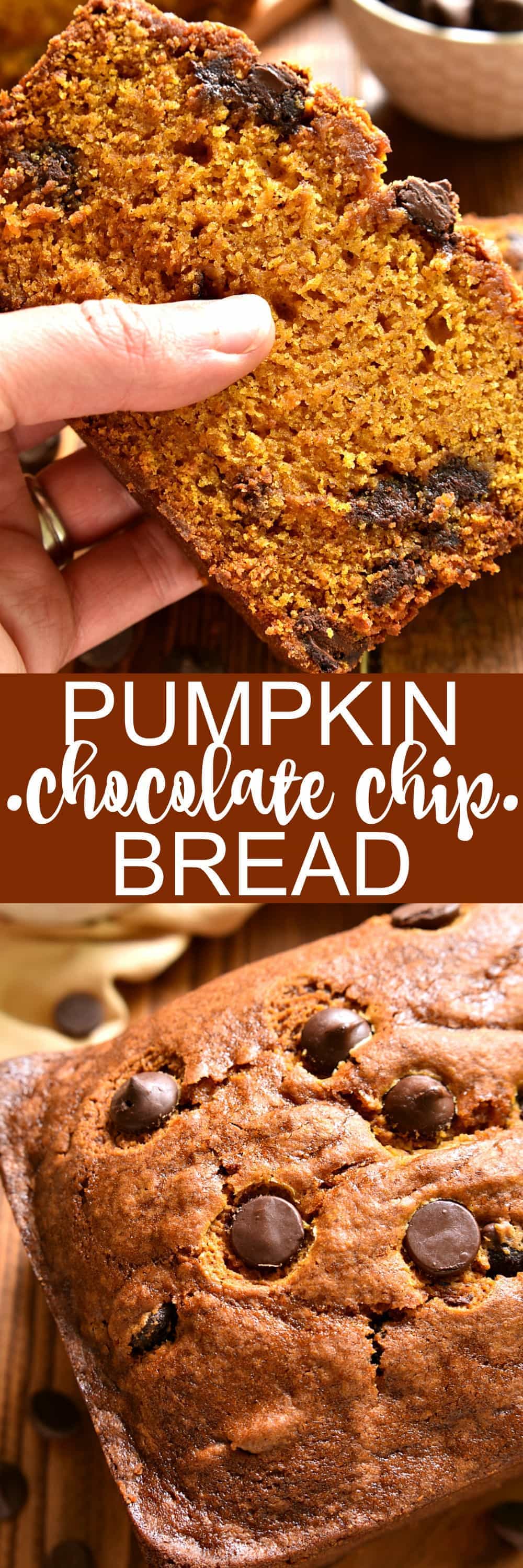 The BEST pumpkin bread, loaded with chocolate chips and packed with delicious flavor! Perfect for busy mornings, relaxing brunches, afternoon snacks, or even dessert! Once you try this Pumpkin Chocolate Chip Bread, there's NO going back!