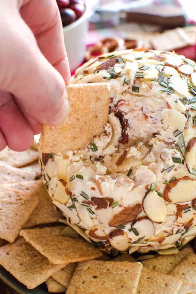 Swiss Almond Cheese Ball Lemon Tree Dwelling