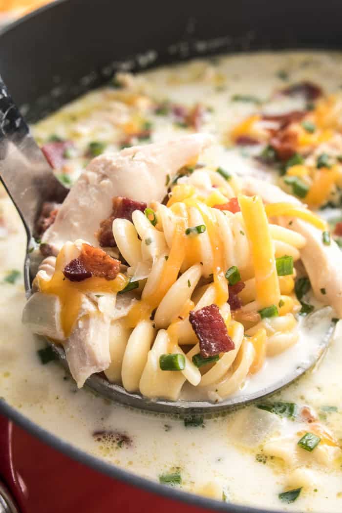 Qui n'aime pas la soupe de nouilles au poulet maison....surtout quand ça monte d'un cran !? Cette soupe de nouilles au poulet Ranch au Cheddar au bacon porte la recette classique à un nouveau niveau avec l'ajout de fromage cheddar, d'assaisonnement ranch, de ciboulette et...bien sûr...bacon! Parfaite pour les mois froids de l'hiver et tout aussi délicieuse toute l'année, si vous aimez une bonne soupe crémeuse de nouilles au poulet, vous adorerez cette recette!'t love homemade chicken noodle soup....especially when it's kicked up a notch!? This Bacon Cheddar Ranch Chicken Noodle Soup takes the classic recipe to a new level with the addition of cheddar cheese, ranch seasoning, chives, and...of course...bacon! Perfect for the cold months of winter and equally delicious all year round, if you love a good creamy chicken noodle soup, you'll love this recipe! 