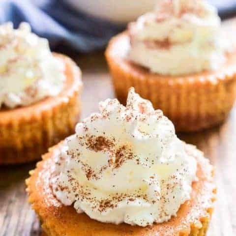 Mini Pumpkin Cheesecakes-image