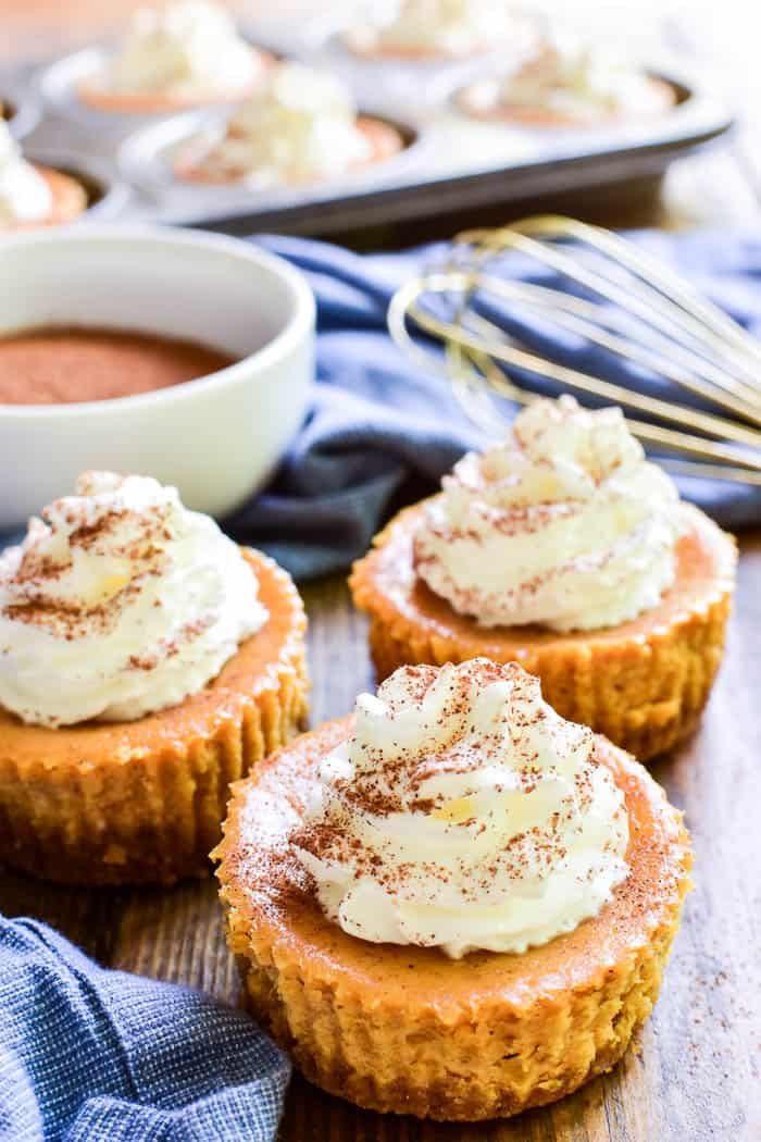 Mini Pumpkin Cheesecakes Lemon Tree Dwelling Mini Pumpkin Cheesecakes Lemon Tree Dwelling