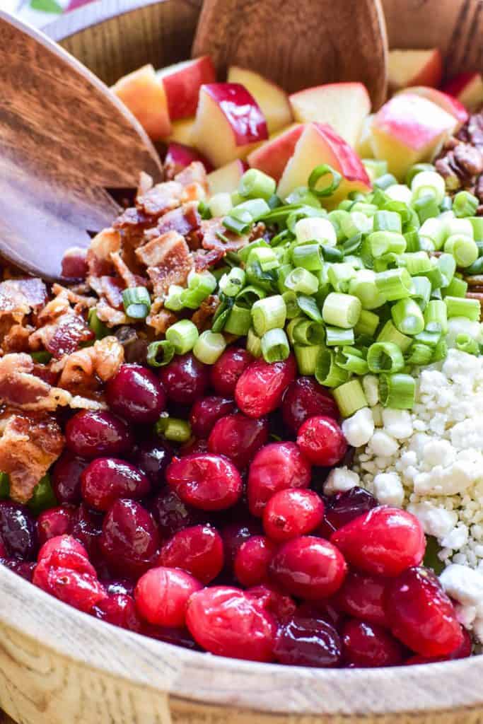Cranberry Apple Pecan Salad – Lemon Tree Dwelling