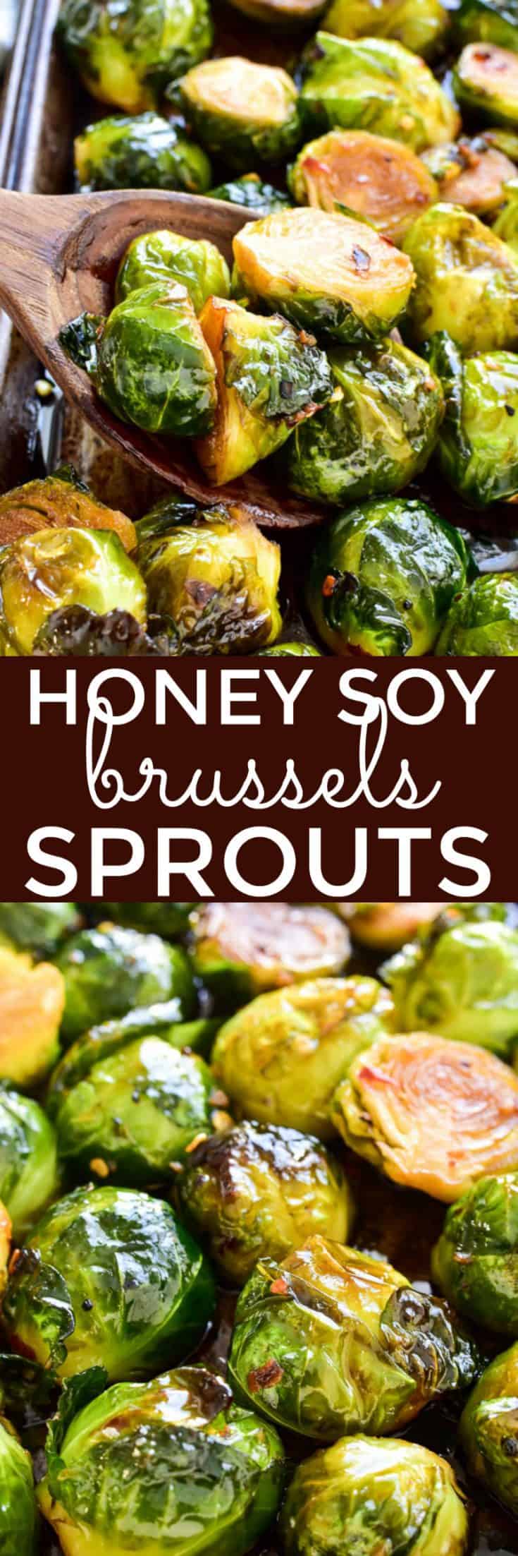 Honey Soy Roasted Brussels Sprouts Lemon Tree Dwelling