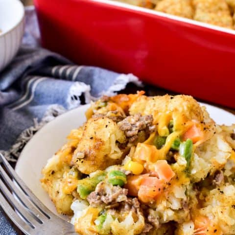 Tater Tot Casserole – Lemon Tree Dwelling