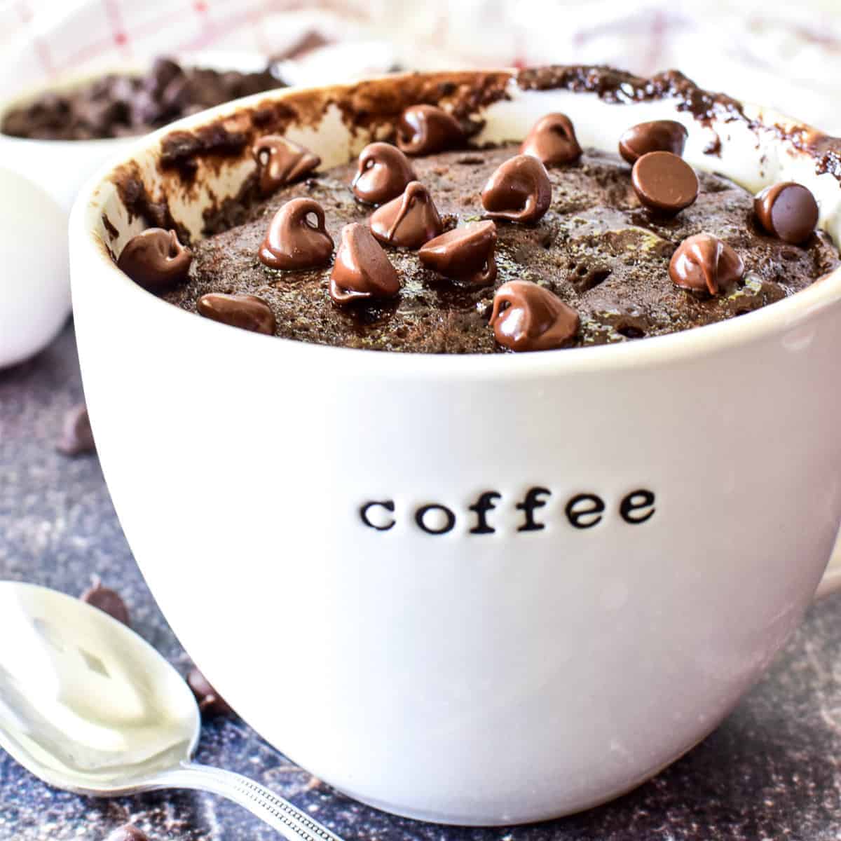 Chocolate Mug Cake