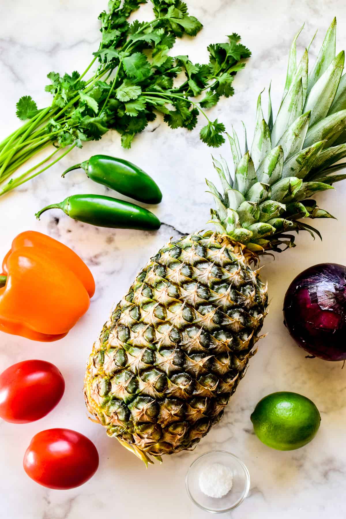 Pineapple Salsa ingredients on a marble background